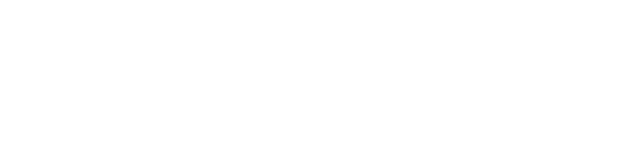Boki Motors logotip